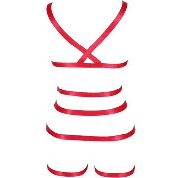 Dancewear Exotic Lingerie