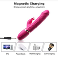 The All In One Affair Rabbit Vibrator