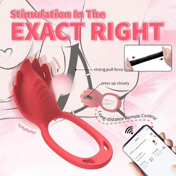 App Cock Ring Panty Vibrator