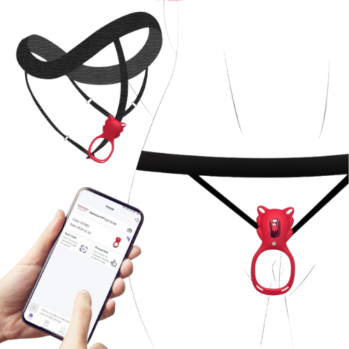 2 in 1 Remote Control Panty and Vibrating Ring Vibrator