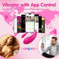 App Control U-Panty Vibe