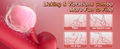 G-spot Rose Tung Vibrator