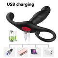 Dual Motor Prostate Vibrator