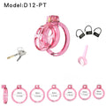 Chastity Cage Vibrator Kit