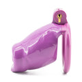 BDSM Chastity Cage Dildo