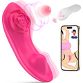 App Control Panty Vibe