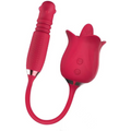 Rotating Wand & Lick Rose