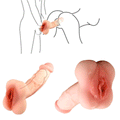 Cupid's Secrets Penis SLEEVE Adult Male Realistic Vagina Pocket Pussy Masturbator Sex Toys Men